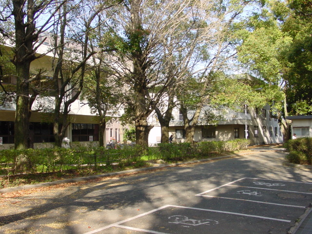 img0013.jpg