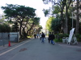 img0004.jpg