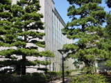 img0005.jpg