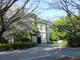 img0007.jpg