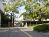 img0012.jpg