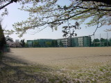 img0018.jpg