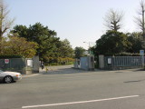 img0029.jpg