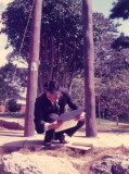 img0002.jpg